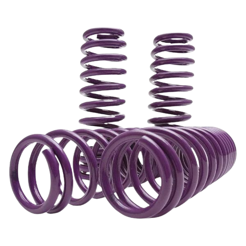 D2 Racing Pro Series Lowering Springs D-SP-HN-04 ACCORD 98-02 (FR=2.50 & RE=2.25)