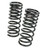 RS-R 01-06 Lexus LS430 (UCF30/31) Super Down Springs - T284S Photo - Primary