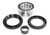 EPI 95-05 Honda TRX400-650 Wheel Bearing Kit - WE301170 Photo - Primary