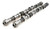 Brian Crower Dodge SRT-4 Camshafts - Stage 4 - BC0163 Photo - Primary