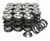GSC P-D Honda B-Series Vtec Dual Spring Set and Titanium Retainer - 5049 Photo - Primary
