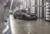 2018 BMW F80 M3 with Black BBS CC-R Wheels