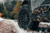 Black Rhino Boxers with Falken Wildpeak Tires