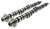 Brian Crower Honda F20C/F22C Camshafts - Stage 2 - BC0061 Photo - Primary