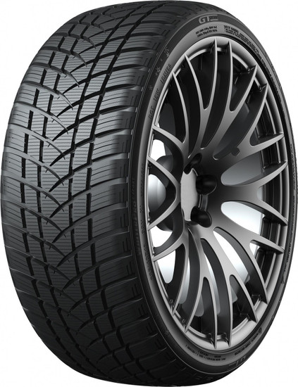 GT Radial WinterPro2 Sport 235/35R19 91V - 100A4827