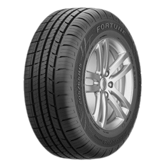 Fortune PERFECTUS FSR602 195/65R15