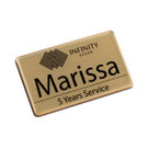 76 x 38mm Name Badge, Name Tag with Resin Dome. Brushed Gold