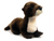 Otter - Stuffed Animal
