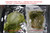 SteelPak 6"x10" 1 Pint (50 count) Patented FoodSaver Compatible Textured/Embossed Mylar® Vacuum Seal Bags