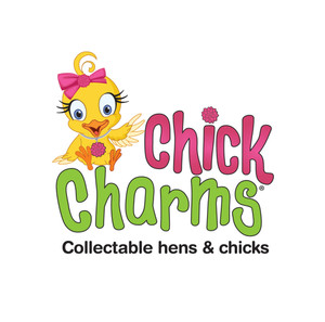 Sempervivum 'Chick Charms® Silver Suede™' Hens and Chicks