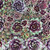 Sempervivum Chick Charms® Cranberry Cocktail™ Hens and Chicks