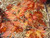 Acer japonicum ' Aconitifolium ' Fern Leaf Maple