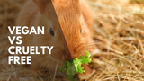 CRUELTY FREE & VEGAN: WHAT DO THEY MEAN FOR BEAUTY PRODUCTS? 