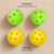 Floral Pickleball Set