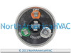 Amrad_Dual