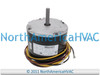 OEM Carrier Bryant Payne Condenser Fan Motor 1/10 HP 800 RPM Replaces HC33GE241