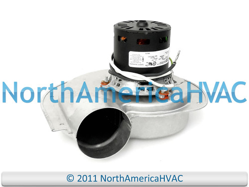 1094073 1094073P 1094073/P