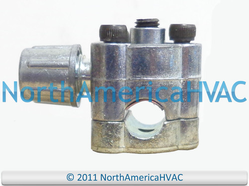 BPV38 B11-036