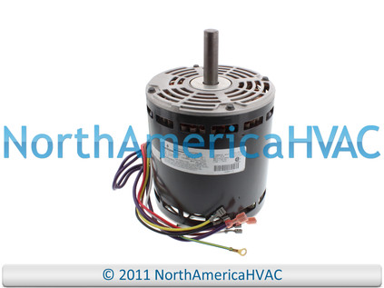 MOT08_004__23031.1689343782.