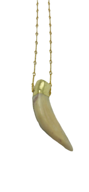 Long Gold Chain with Tusk