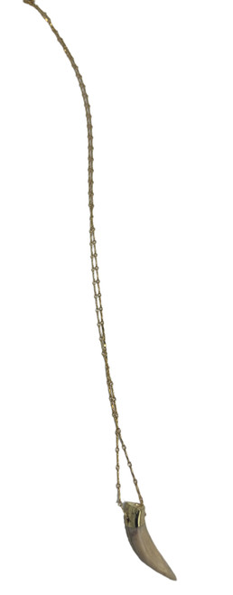 Long Gold Chain with Tusk