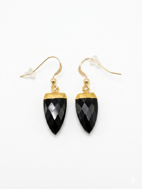 Black Onyx and Gold Earring