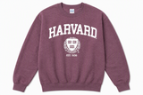 HAR 1 COLOR CR CREW
