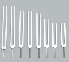 Fibonacci set of 8 w/pouch          (Unweighted)