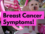 5 Important Breast Cancer Symptoms to Watch For!