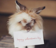 Medical Jewelry – The Practical Valentine’s Day Gift