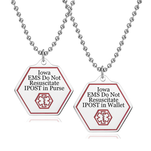 Iowa DNR IPOST Pendant