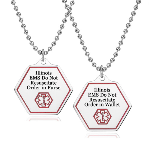 Illinois DNR Pendant