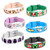 Your Choice of Pre-Engraved Tag with Six Interchangeable Minecraft Designed Straps - Bundle 2