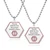 Florida DNR POLST in Purse or Wallet Pendant with 24 - 30in Neck Chain