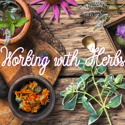 Working with Herbs- Magical Herbs and Herbal Remedies Working with Herbs- Magical Herbs and Herbal Remedies