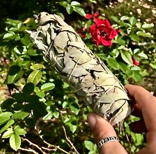 White Sage Bundle