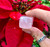 Rose quartz cube
