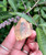 Natural Congo Citrine Points- Merchants Stone- Crystal for Prosperity