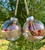 Handcrafted Christmas ornaments with clear quartz, howlite, burlap ribbon, real cinnamon sticks, pinecones, and artificial berries. Shatter-proof and perfect for your tree or home decor.

Christmas ornaments, nature-inspired ornaments, rustic holiday decor, handcrafted ornaments, shatter-proof Christmas ornaments, clear quartz ornaments, howlite ornaments, pinecone decor, holiday decorations, cinnamon stick ornaments, yule ball, yule decor, Dreamer Apothecary
