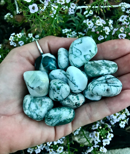 Tree Agate Tumbles