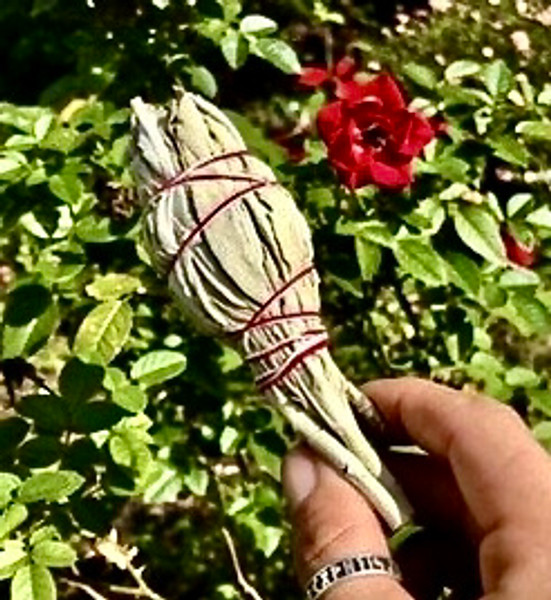 Small White Sage bundle