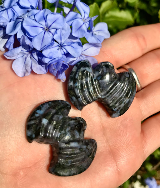 Indigo Gabbro aka Mystic Merlinite Bats