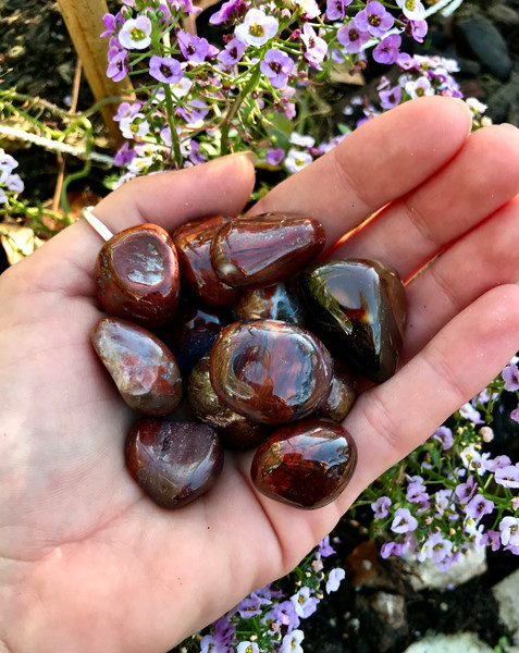 Petrified Wood Tumbles