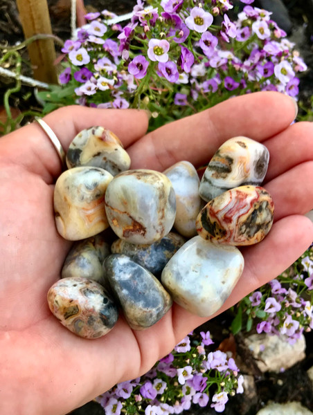 Crazy Lace Agate Tumbles