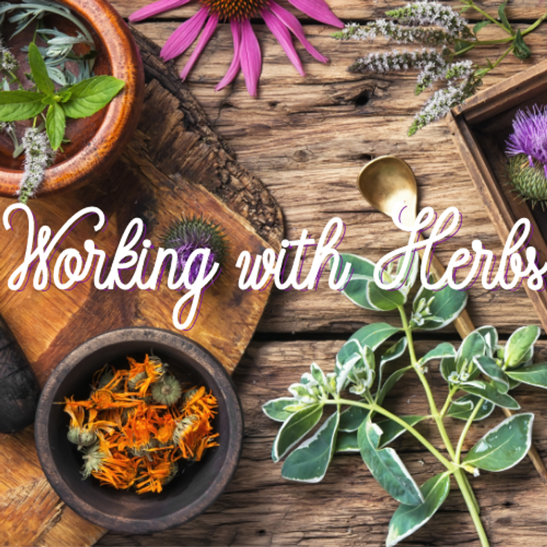 Working with Herbs- Magical Herbs and Herbal Remedies