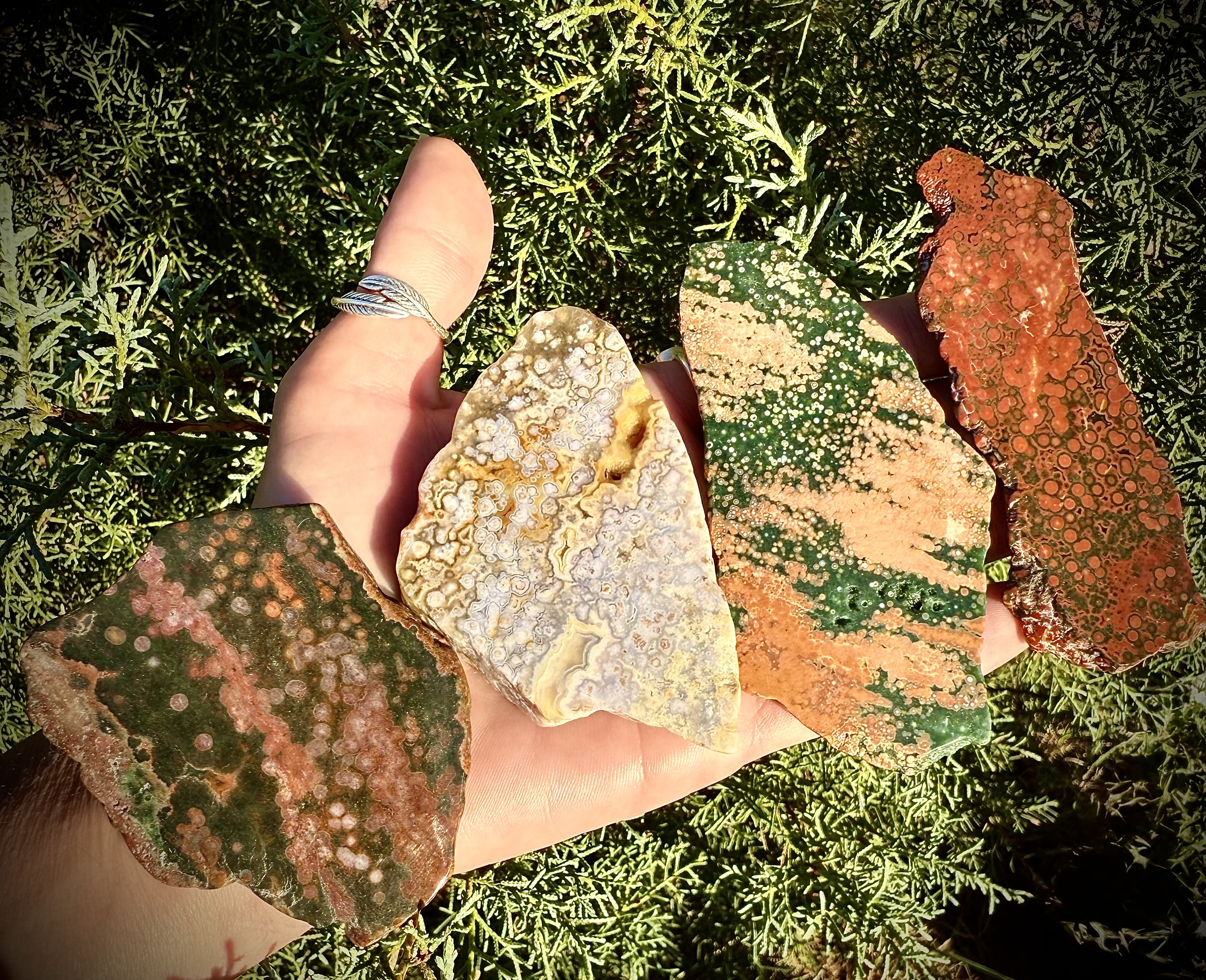 8th Vein Ocean Jasper Slab