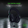 Razer, 03230100-R3M1, Blackshark V2 + USB Mic Enhancer, Black