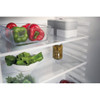 Indesit, INBUL011.UK, Built In 60cm 144L Under Counter Larder Fridge, Multi
