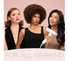 Shark, HD301UK, SpeedStyle Essential High-Velocity Hair, Multi