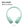 Sony, WHCH530GCE7, WH-CH530 Wireless Headphones, Green